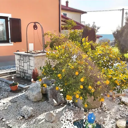 Apartma Suzy